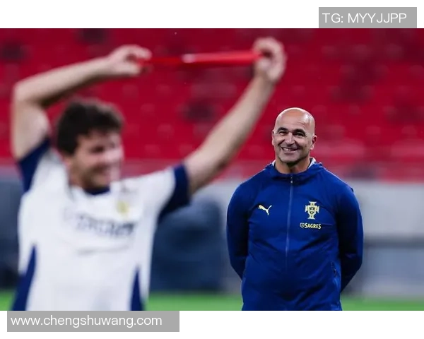 西班牙国家足球队重塑辉煌之路：世界杯预选赛的挑战与机遇